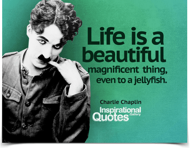 Life is a beautiful magnificent thing, even to a jellyfish. Quote by Charlie Chaplin.