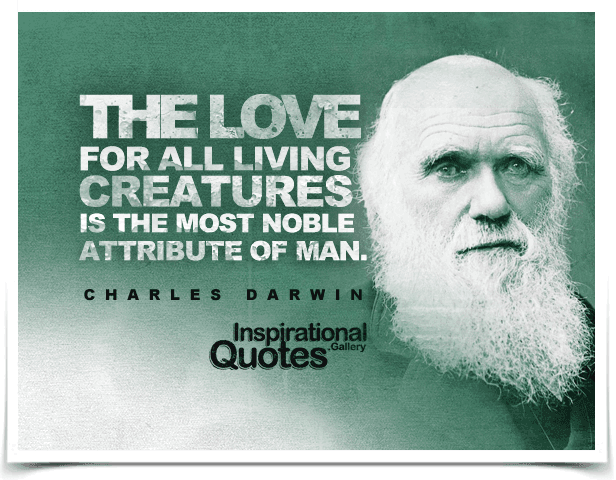 The love for all living creatures is the most noble attribute of man. Quote by Charles Darwin.