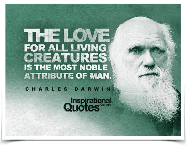 The love for all living creatures is the most noble attribute of man.